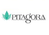 44-Pitagor